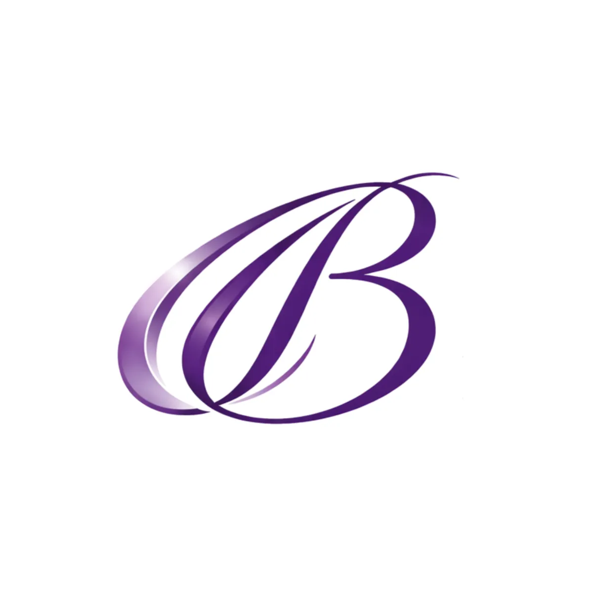 Barker Business Services Logo