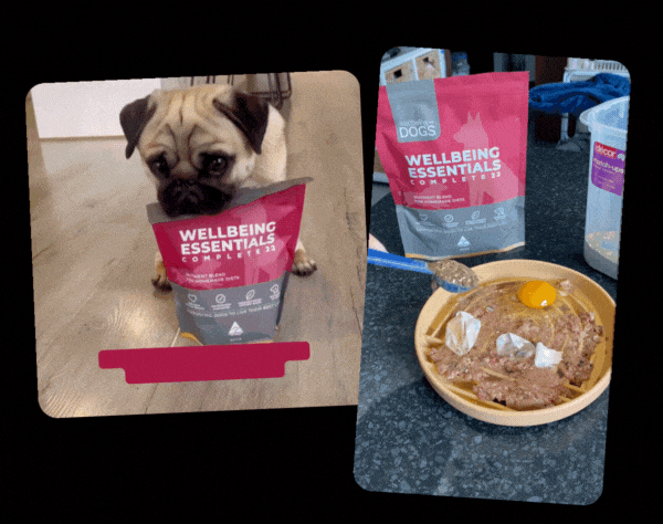 User Generated Content