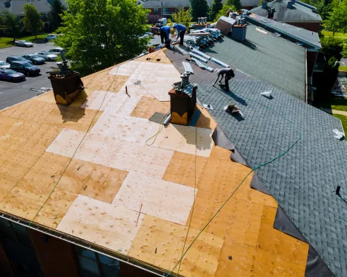 Wayne Shingle Roof