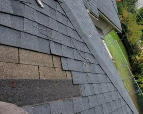 Willow Grove Flat Roof