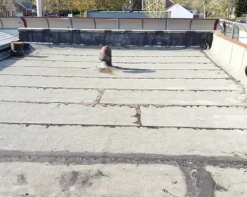 Shingle Roof King of Prussia
