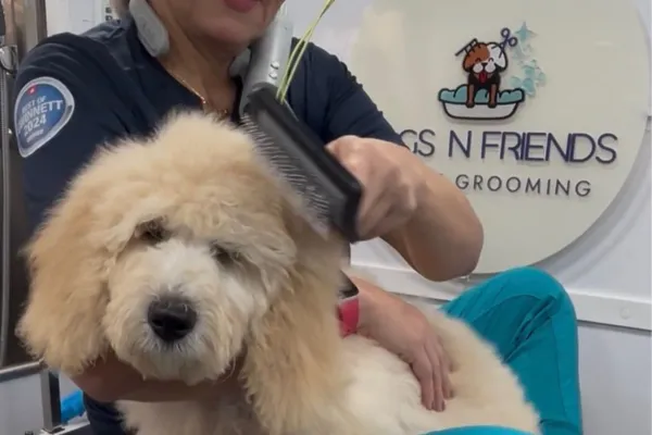 Consistency is key to a positive grooming experience. 