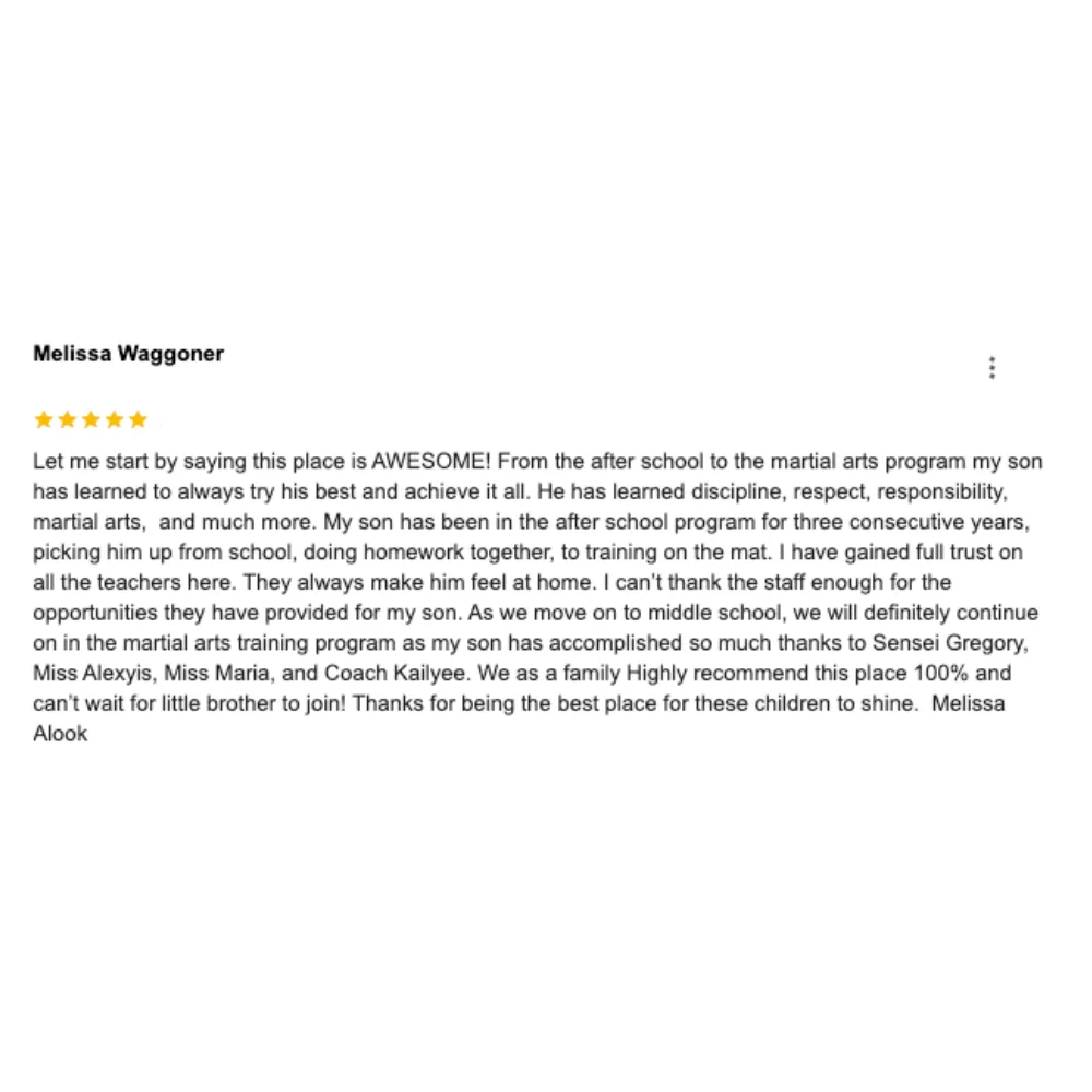 5 Star Review For Woodland Hills Best Summer Camp!