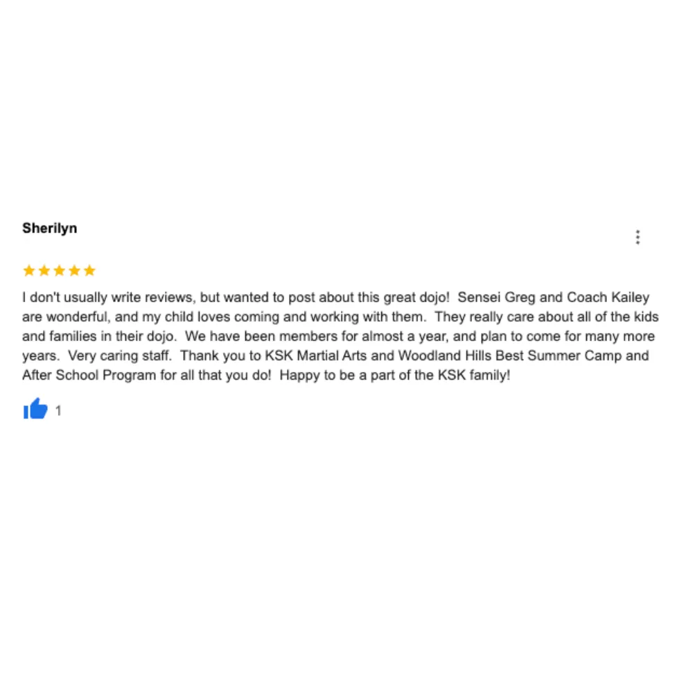 5 Star Review For Woodland Hills Best Summer Camp!