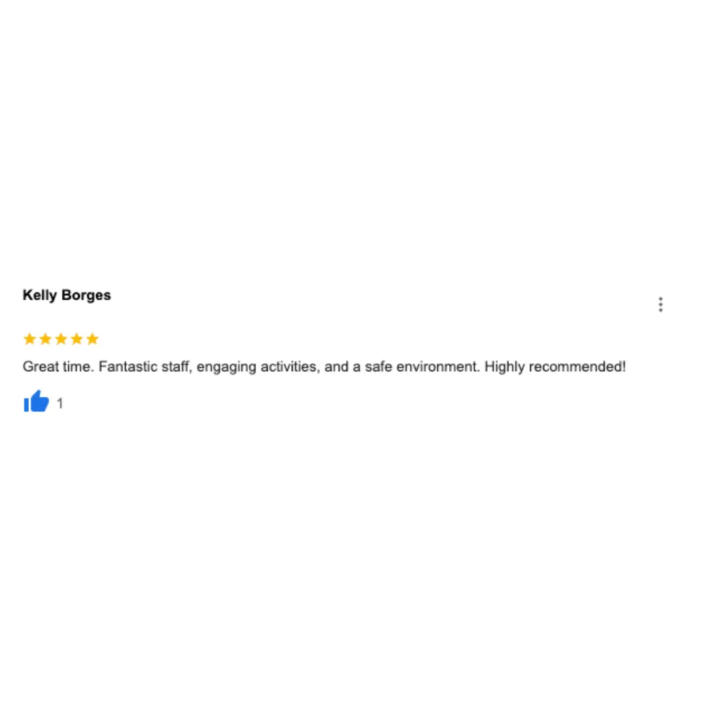 5 Star Review For Woodland Hills Best Summer Camp!