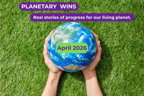  Planetary Wins in April 2026
