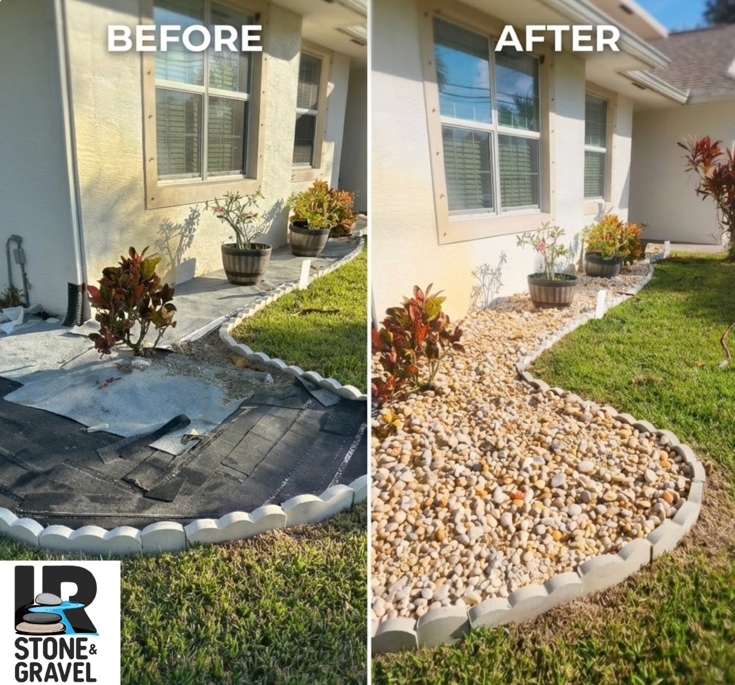 a group of potted plants