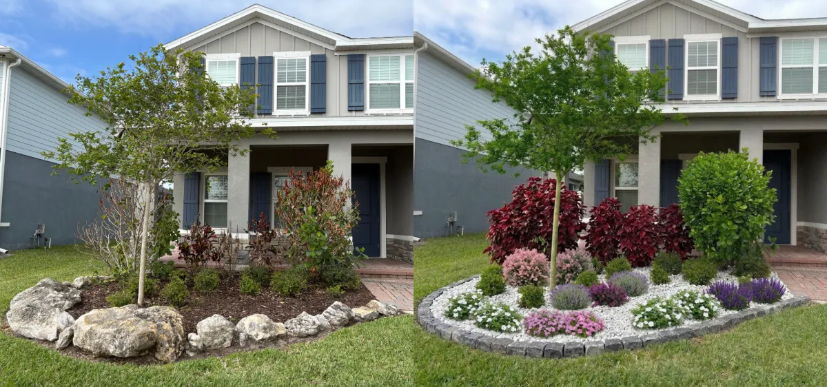 a body of water with rocks and trees in the background
