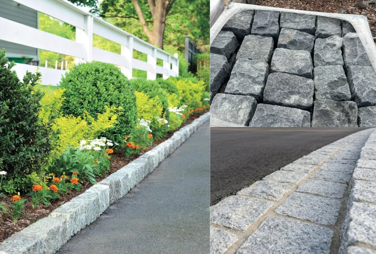A lush green path winds through dense foliage.