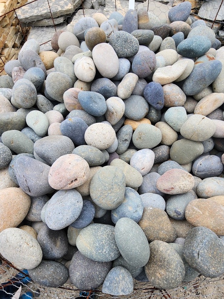 a small plant is growing in the middle of a stream