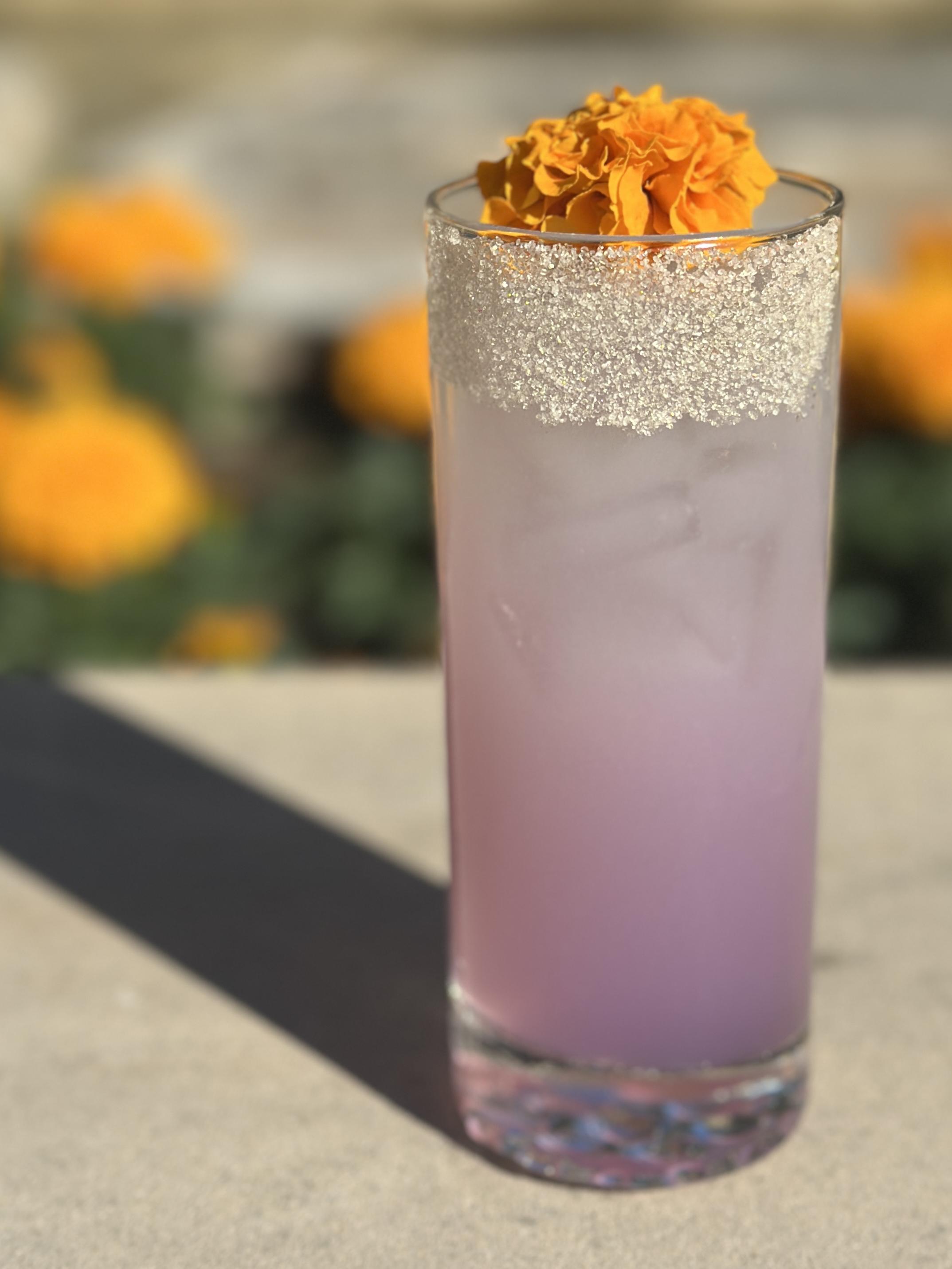 Luxury cocktail from a San Antonio mobile bartending service