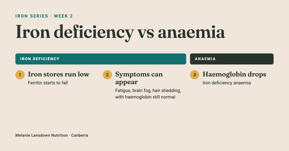 Iron Deficiency vs Anaemia: Why a "Normal" Blood Test Can Miss Low Iron