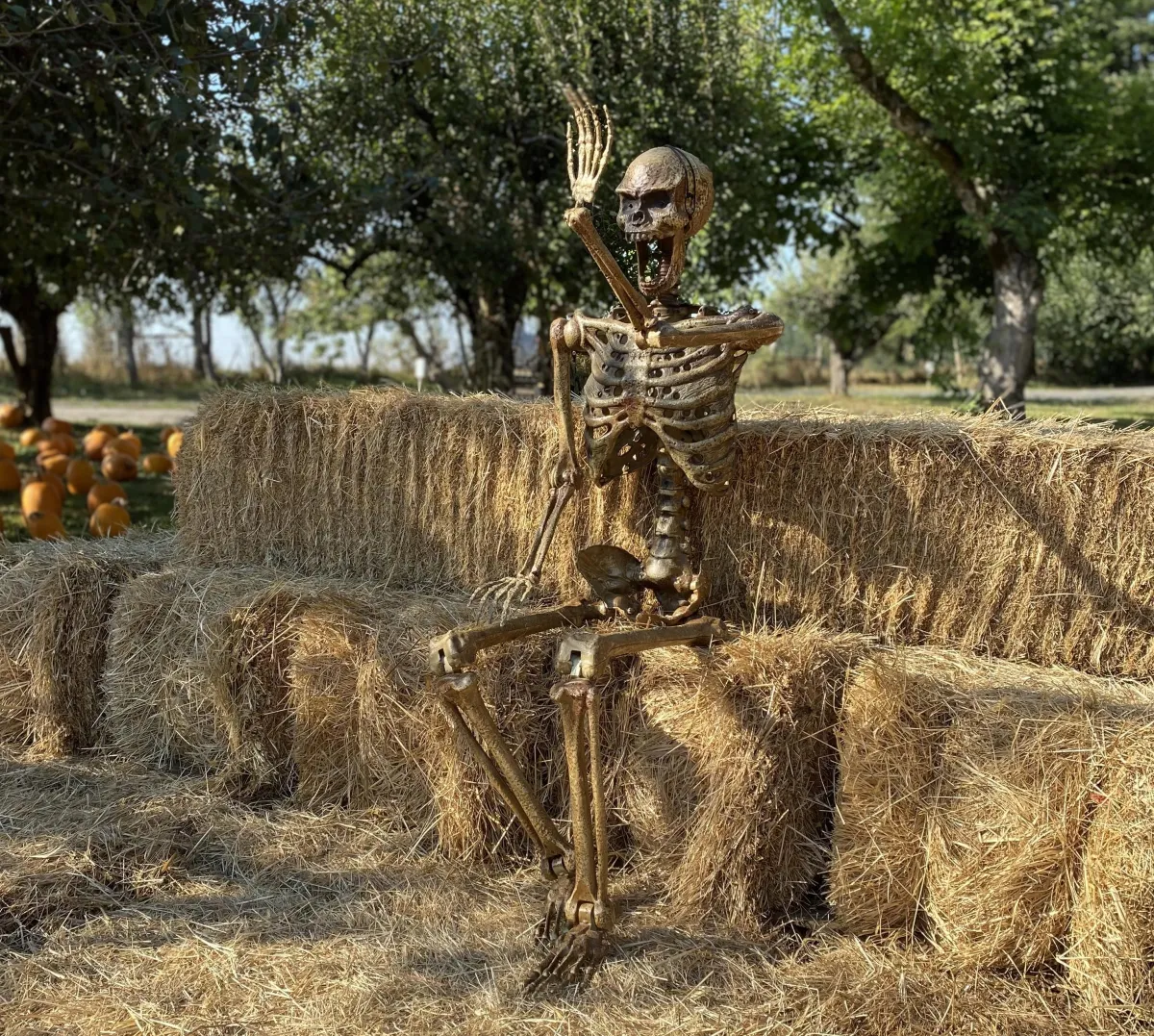Covered Hay Ride Wagon