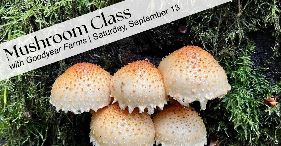 Wild forest mushrooms with text that read: Mushroom Class with Good Year Farms. Saturday September 13th.