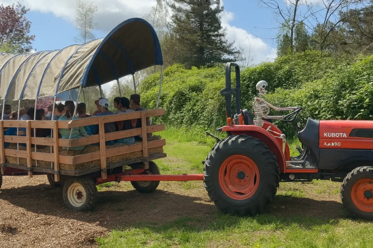 Hay wagon driven by a skeleton.