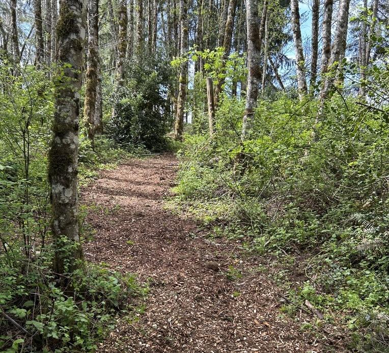 Nature trail at Get To-Gather Farm.