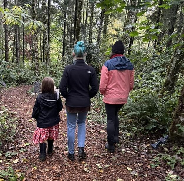 Dogs running in a fenced play yard.