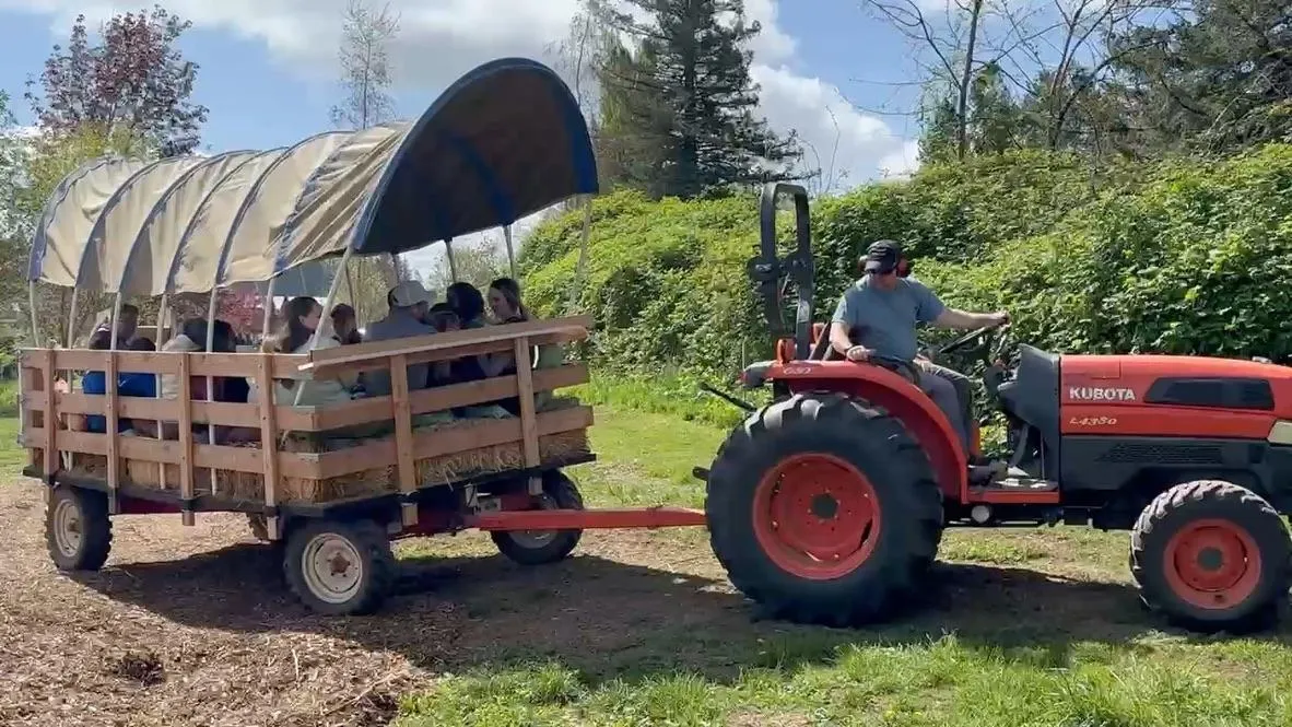 Tractor pulling a hay wagon