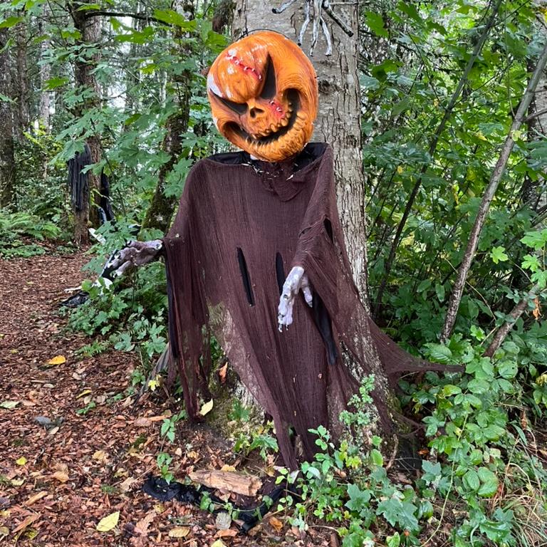 Pumpkin head goblin in the forest