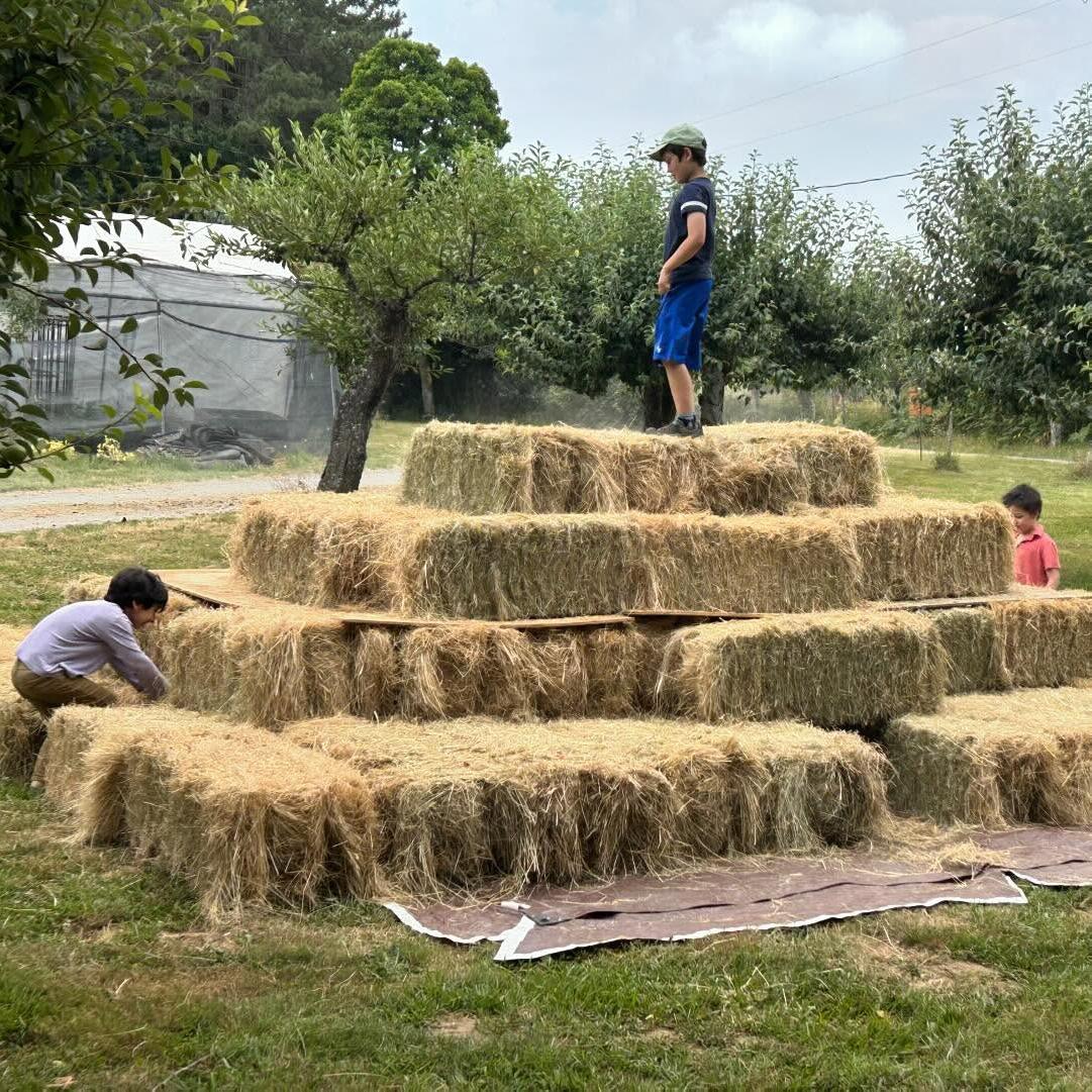 Kids climbing a hay bale pyramid