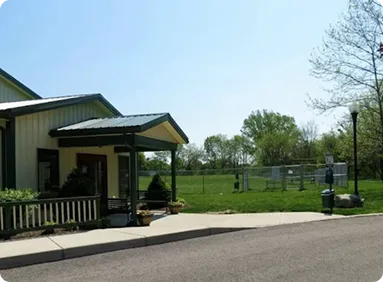 Spacious indoor dog daycare play area