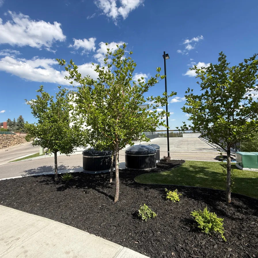 Landscaping Services in Calgary, AB, CA.