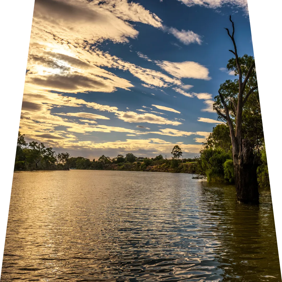 Scenic sunset view along the Murray River in Mildura, featuring golden reflections on the water, dramatic cloud formations in the evening sky, and native river red gums along the shoreline, showcasing the natural beauty of the region.