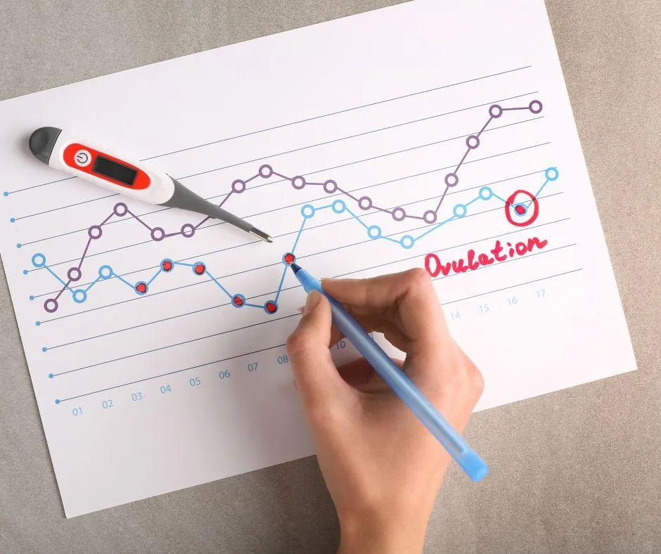 Repère ton ovulation avec la symptothermie !