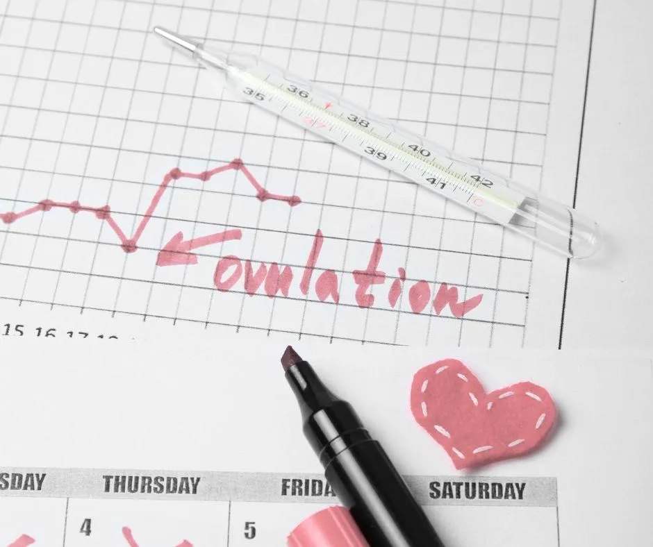 Booste ta fertilité naturellement avec Essencycle