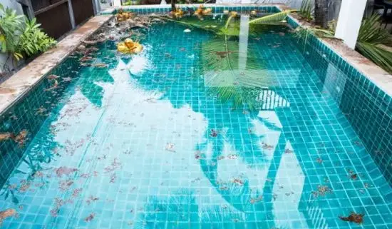 Palm fronds, coconuts, and storm debris floating in a tiled backyard pool after a Florida storm