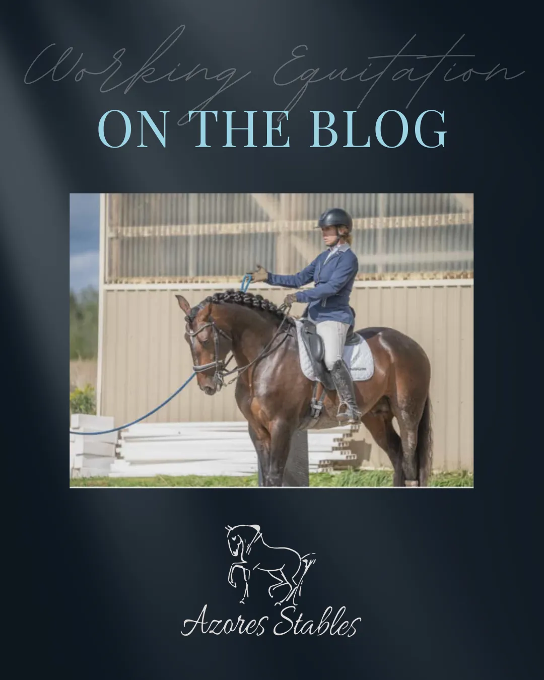Working Equitation