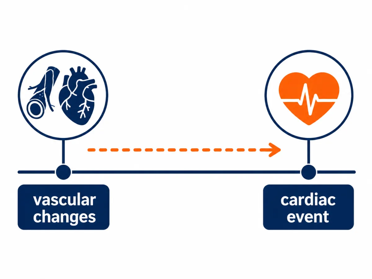 The Cardiovascular–Sexual Health Connection Nobody Explains