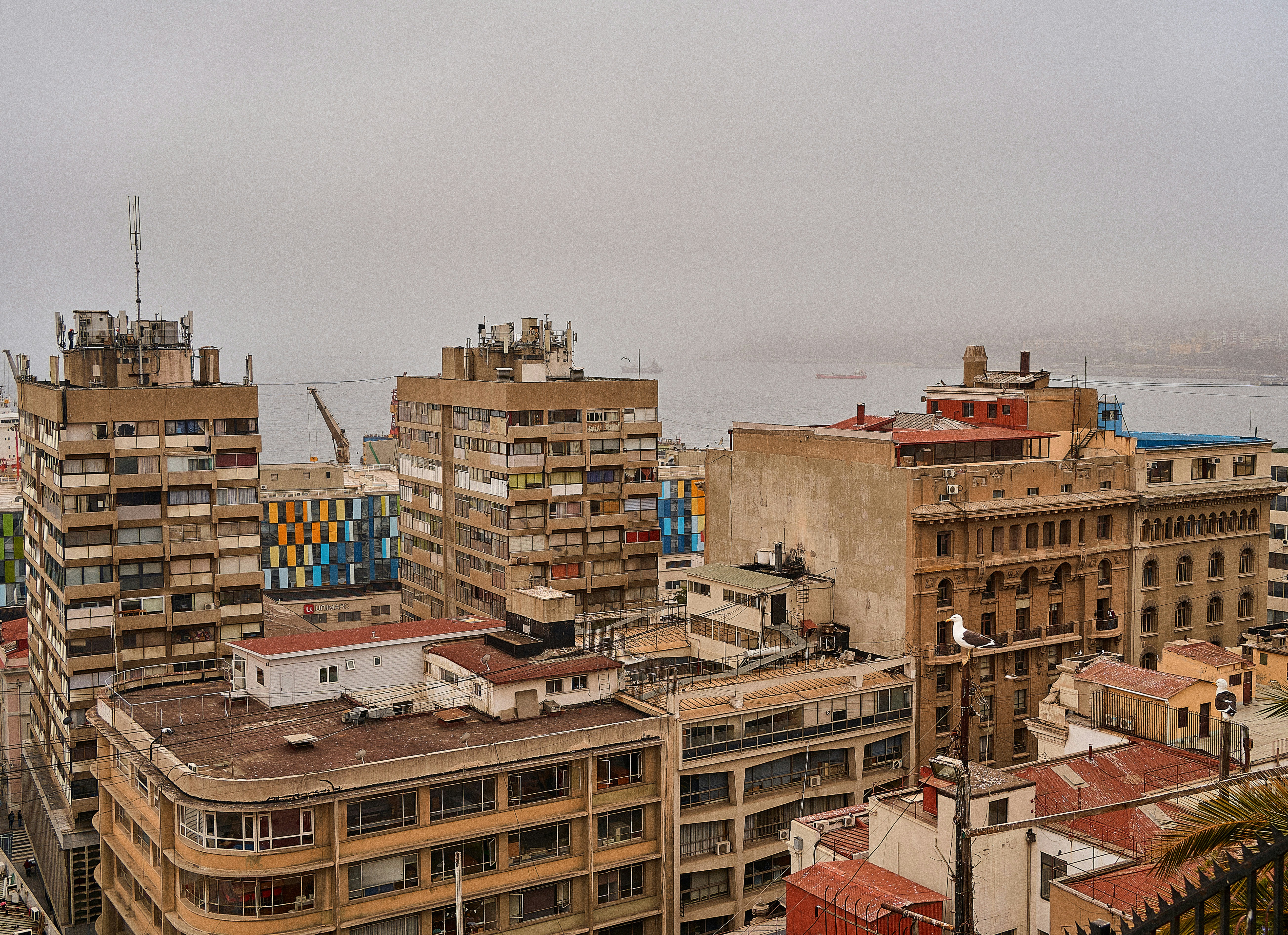 Propiedad de inversión analizada por DAC