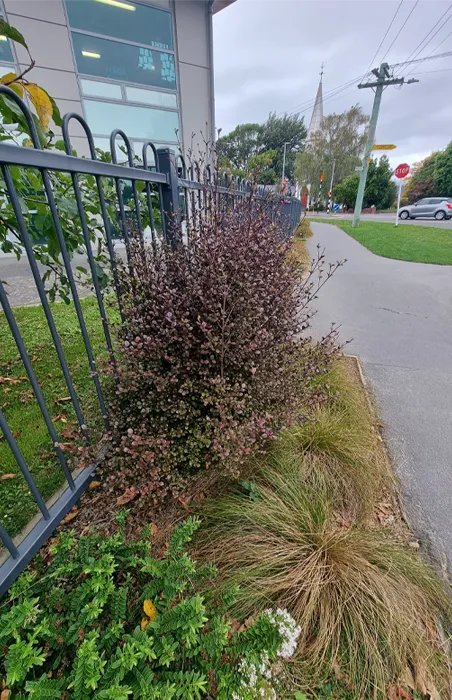 Tidy urban garden with plants and weeded beds after routine garden care by Jonathan’s Mowing Concepts