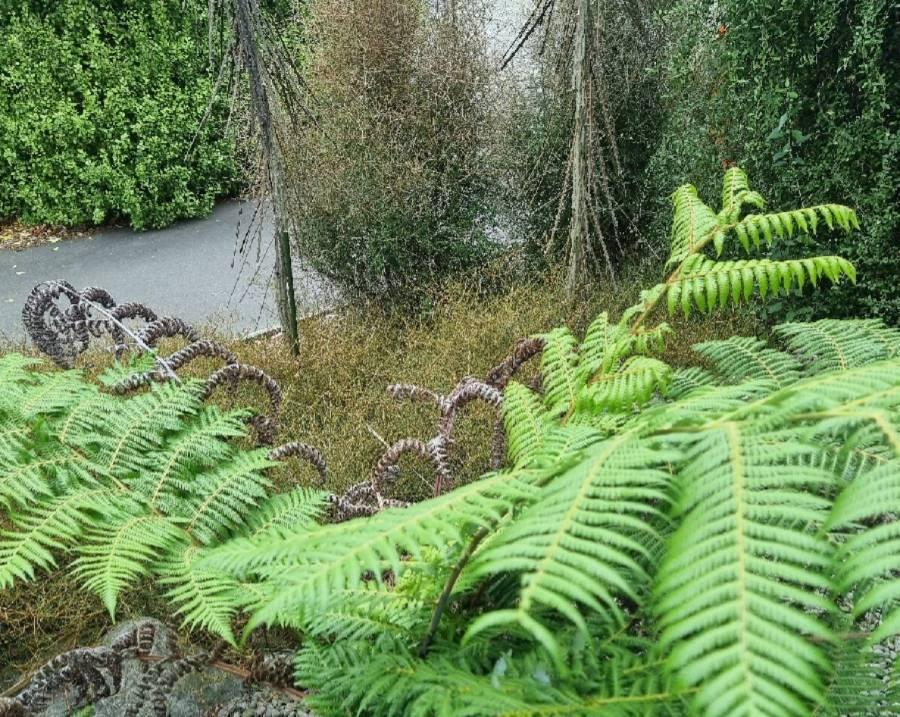  pile of green garden waste ready for collection in West Melton