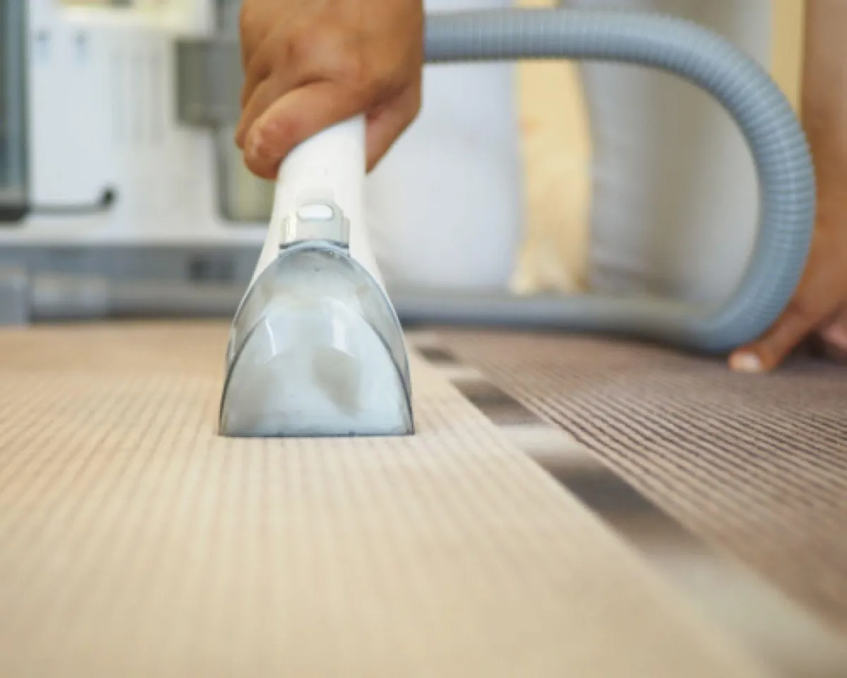 Cleared garden space and ferns after green waste removal in West Melton