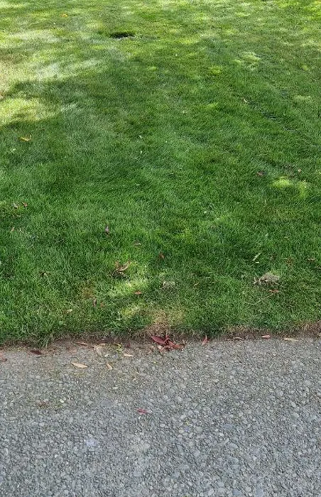 Freshly mowed residential lawn in Christchurch showing neat and even grass cutting by Jonathan's Mowing Concepts