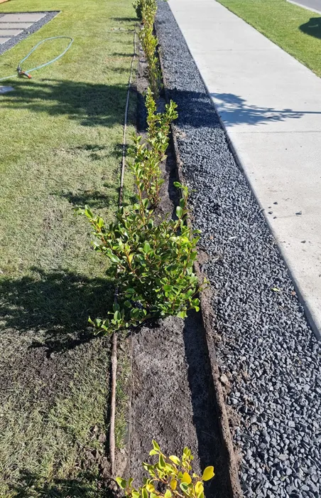 Clean commercial property lawn and garden edging serviced by Jonathan's Mowing Concepts in Canterbury