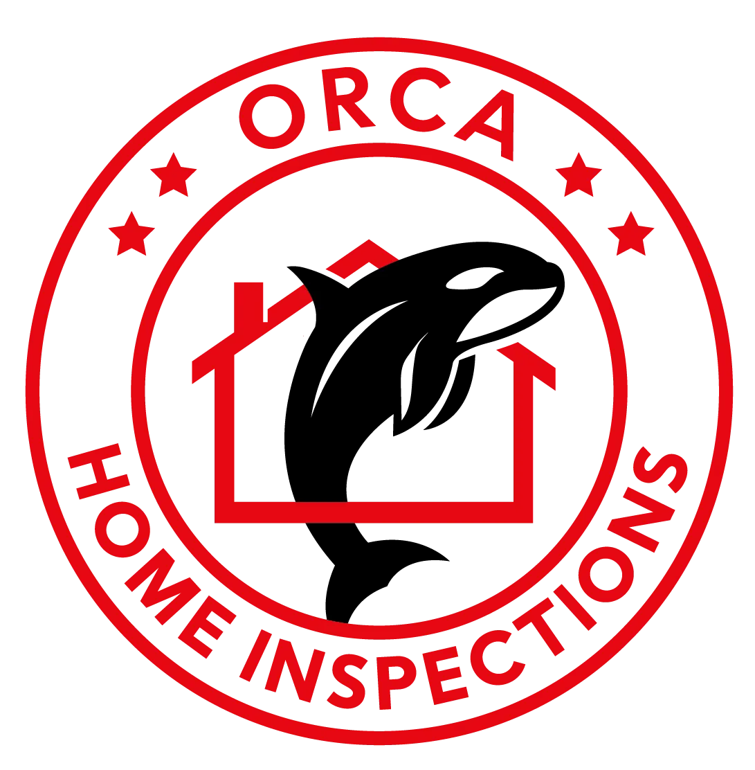 Home inspection expert at work