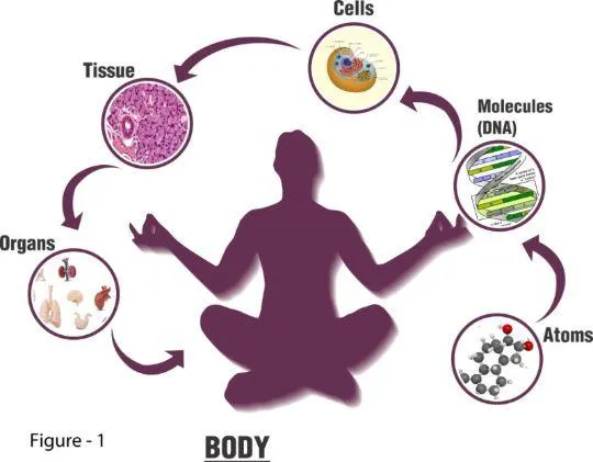 energetic system framework