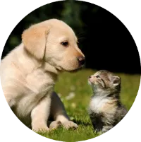 technology energizing matter at a quantum level, symbolizing advanced energy enhancement and transformation.