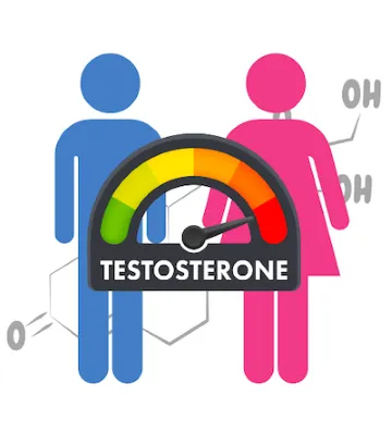 energetic system framework