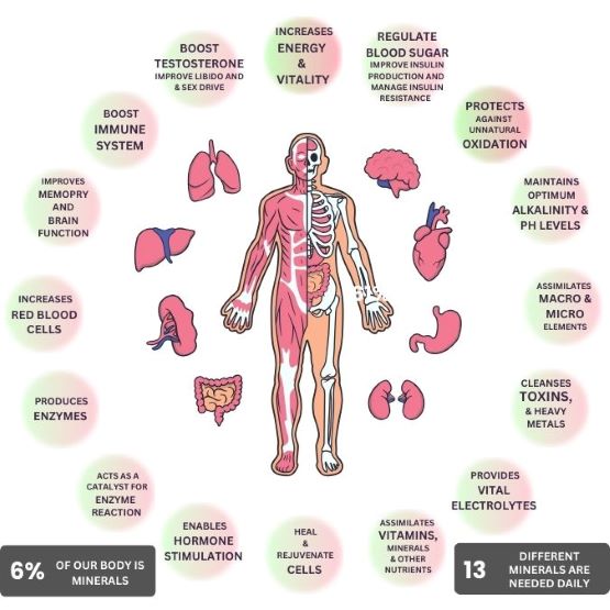 energetic system framework