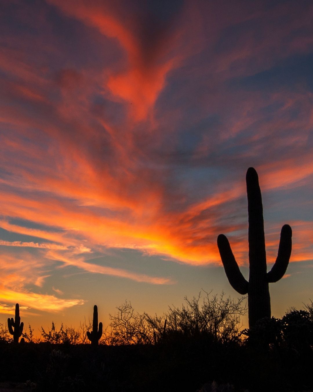 Creating a Wellness Routine That Feels Natural, Not Forced