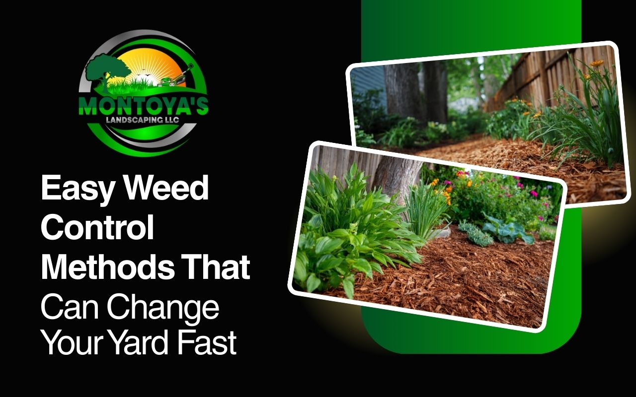 Easy Weed Control Methods That Can Change Your Yard Fast