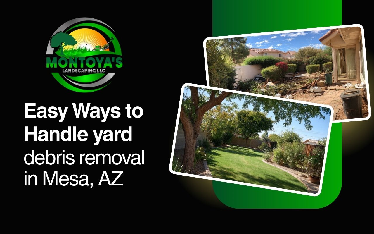 Easy Ways to Handle yard debris removal in Mesa, AZ