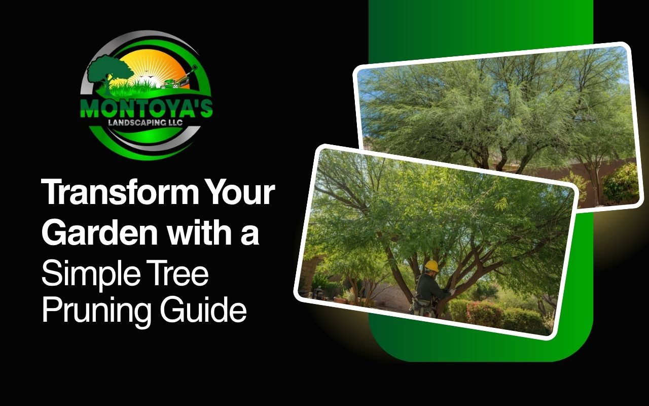 tree pruning guide for healthy trees in an Arizona yard