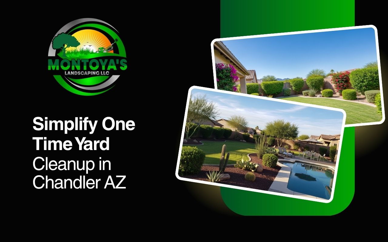 One time yard cleanup in Chandler, AZ for a clean backyard