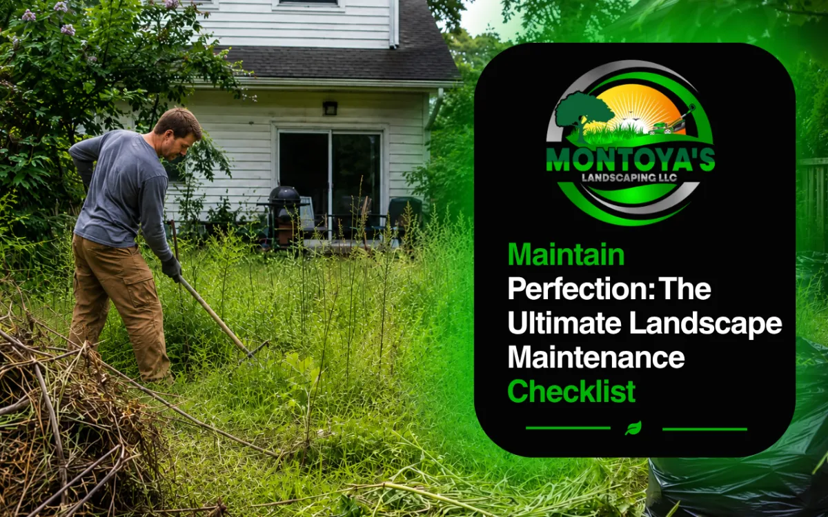 Landscape Maintenance Checklist for Better Yard Care