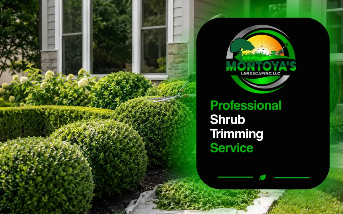 Professional Shrub Trimming Service for Curb Appeal